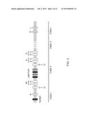 GENETICALLY MODIFIED MAJOR HISTOCOMPATIBILITY COMPLEX MICE diagram and image