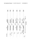 GENETICALLY MODIFIED MAJOR HISTOCOMPATIBILITY COMPLEX MICE diagram and image