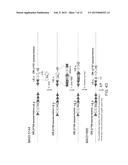 GENETICALLY MODIFIED MAJOR HISTOCOMPATIBILITY COMPLEX MICE diagram and image