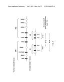 GENETICALLY MODIFIED MAJOR HISTOCOMPATIBILITY COMPLEX MICE diagram and image