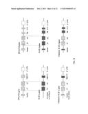 GENETICALLY MODIFIED MAJOR HISTOCOMPATIBILITY COMPLEX MICE diagram and image