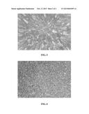 ALUMINUM-ZIRCONIUM-TITANIUM-CARBON GRAIN REFINER FOR MAGNESIUM AND     MAGNESIUM ALLOYS AND METHOD FOR PRODUCING THE SAME diagram and image