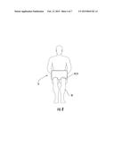 PROTECTIVE CASES FOR PORTABLE ELECTRONIC DEVICES diagram and image