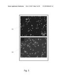 READOUT & SIGNAL TRANSDUCTION (ROST) COMPONENT FOR POC DEVICES diagram and image