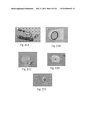 READOUT & SIGNAL TRANSDUCTION (ROST) COMPONENT FOR POC DEVICES diagram and image