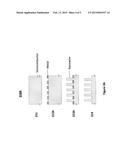 NANOWIRE STRUCTURED COLOR FILTER ARRAYS AND FABRICATION METHOD OF THE SAME diagram and image