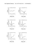 SURFACE ACOUSTIC WAVE RESONATOR, SURFACE ACOUSTIC WAVE OSCILLATOR, AND     ELECTRONIC INSTRUMENT diagram and image