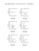 SURFACE ACOUSTIC WAVE RESONATOR, SURFACE ACOUSTIC WAVE OSCILLATOR, AND     ELECTRONIC INSTRUMENT diagram and image