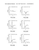 SURFACE ACOUSTIC WAVE RESONATOR, SURFACE ACOUSTIC WAVE OSCILLATOR, AND     ELECTRONIC INSTRUMENT diagram and image