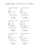 SURFACE ACOUSTIC WAVE RESONATOR, SURFACE ACOUSTIC WAVE OSCILLATOR, AND     ELECTRONIC INSTRUMENT diagram and image