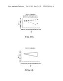 SURFACE ACOUSTIC WAVE RESONATOR, SURFACE ACOUSTIC WAVE OSCILLATOR, AND     ELECTRONIC INSTRUMENT diagram and image