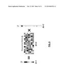 NON-VECTOR SPACE SENSING AND CONTROL SYSTEMS AND METHODS FOR VIDEO RATE     IMAGING AND MANIPULATION diagram and image