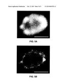 SYSTEMS AND METHODS FOR IDENTIFYING PARAMETERS FROM CAPTURED DATA diagram and image