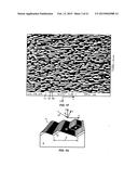 SERS-SENSOR WITH NANOSTRUCTURED SURFACE AND METHODS OF MAKING AND USING diagram and image