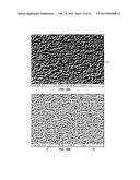 SERS-SENSOR WITH NANOSTRUCTURED SURFACE AND METHODS OF MAKING AND USING diagram and image