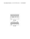 SERS-SENSOR WITH NANOSTRUCTURED SURFACE AND METHODS OF MAKING AND USING diagram and image