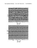 SERS-SENSOR WITH NANOSTRUCTURED SURFACE AND METHODS OF MAKING AND USING diagram and image