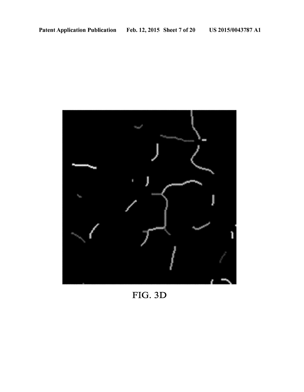 Image-Based Direct Numerical Simulation of Petrophysical Properties Under     Simulated Stress and Strain Conditions - diagram, schematic, and image 08