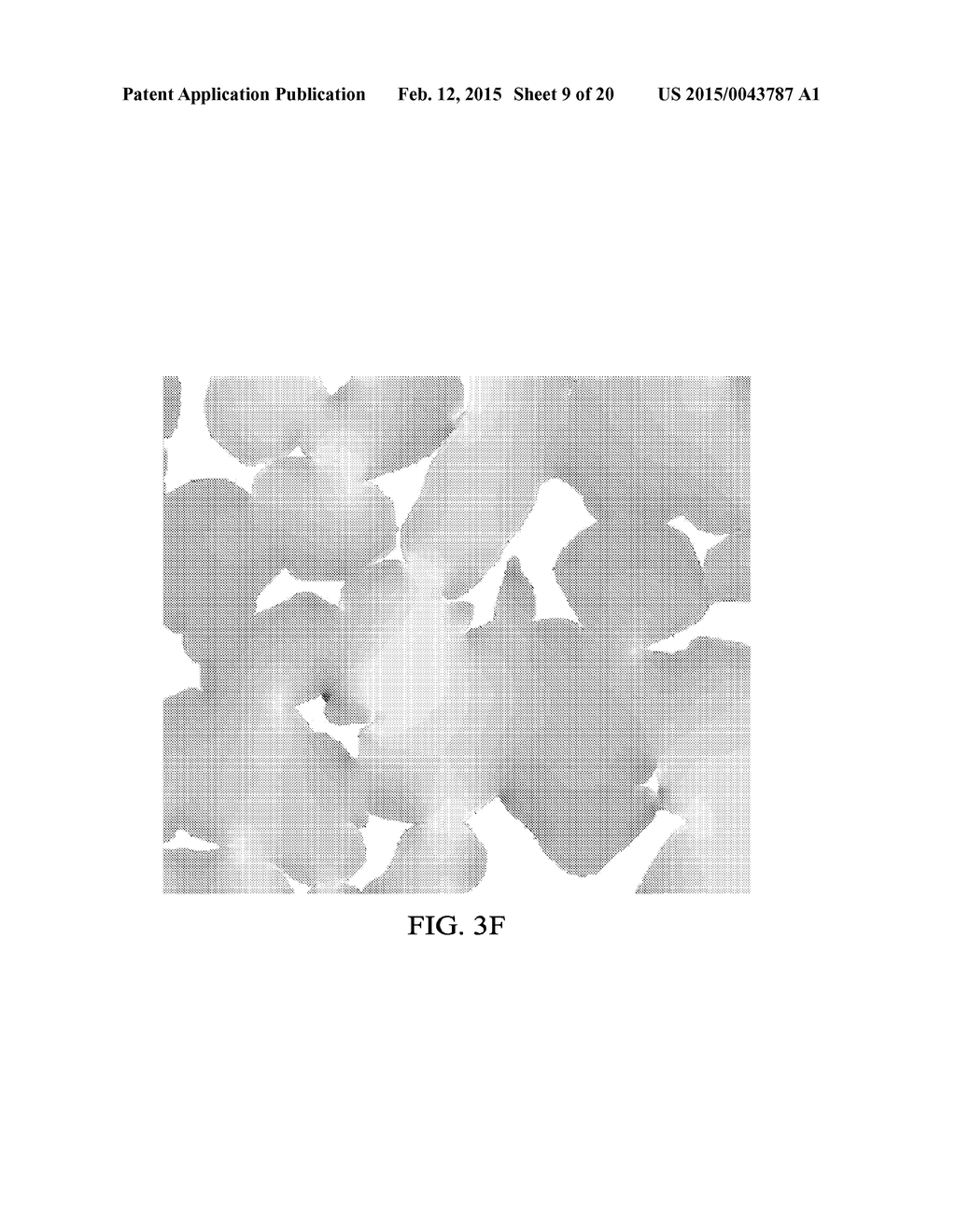 Image-Based Direct Numerical Simulation of Petrophysical Properties Under     Simulated Stress and Strain Conditions - diagram, schematic, and image 10