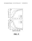 Assessments of Vascular Permeability For Biomedical Imaging Studies diagram and image