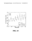 Assessments of Vascular Permeability For Biomedical Imaging Studies diagram and image