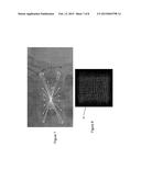 METHOD AND SYSTEM TO ASSIST 2D-3D IMAGE REGISTRATION diagram and image