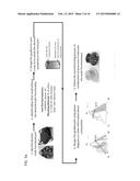 METHODS FOR FABRICATING GRADIENT ALLOY ARTICLES WITH MULTI-FUNCTIONAL     PROPERTIES diagram and image