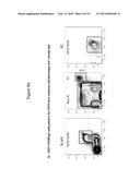 Treatment of Multiple Sclerosis With Anti-CD19 Antibody diagram and image