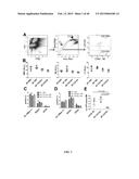 SIRT1 INHIBITORS AND STEM CELL REJUVENATION diagram and image