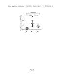 SIRT1 INHIBITORS AND STEM CELL REJUVENATION diagram and image