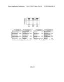 SIRT1 INHIBITORS AND STEM CELL REJUVENATION diagram and image