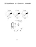 SIRT1 INHIBITORS AND STEM CELL REJUVENATION diagram and image