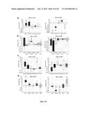 SIRT1 INHIBITORS AND STEM CELL REJUVENATION diagram and image