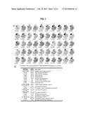 Brain-Specific Enhancers for Cell-Based Therapy diagram and image