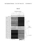 Brain-Specific Enhancers for Cell-Based Therapy diagram and image