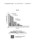 Brain-Specific Enhancers for Cell-Based Therapy diagram and image