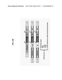 Brain-Specific Enhancers for Cell-Based Therapy diagram and image