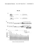 Brain-Specific Enhancers for Cell-Based Therapy diagram and image