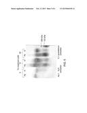 PRODUCT AND PROCESS FOR LIQUEFACTION OF MUCUS OR SPUTUM diagram and image