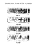 METHODS FOR IDENTIFYING A TARGET SITE OF A CAS9 NUCLEASE diagram and image