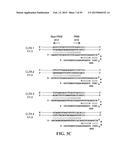 METHODS FOR IDENTIFYING A TARGET SITE OF A CAS9 NUCLEASE diagram and image