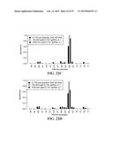 METHODS FOR IDENTIFYING A TARGET SITE OF A CAS9 NUCLEASE diagram and image