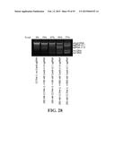 METHODS FOR IDENTIFYING A TARGET SITE OF A CAS9 NUCLEASE diagram and image