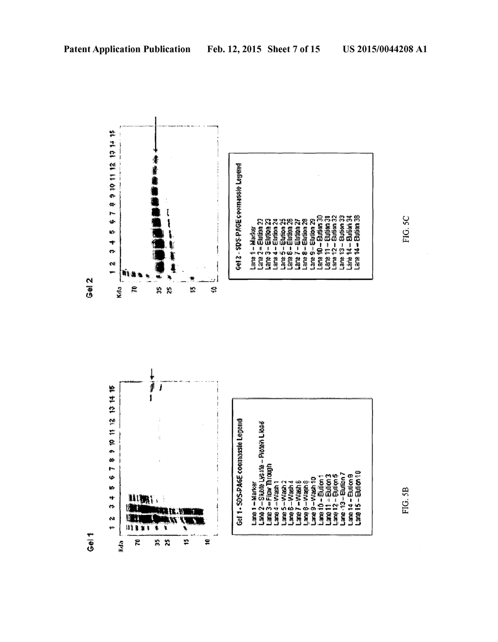 Modified Albumin-Binding Domains and Uses Thereof to Improve     Pharmacokinetics - diagram, schematic, and image 08