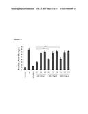 SOLUBLE IGF RECEPTOR Fc FUSION PROTEINS AND USES THEREOF diagram and image