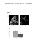 SOLUBLE IGF RECEPTOR Fc FUSION PROTEINS AND USES THEREOF diagram and image