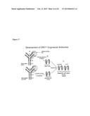 Antibodies Directed to GPNMB and Uses Thereof diagram and image