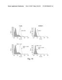 Antibodies Directed to GPNMB and Uses Thereof diagram and image