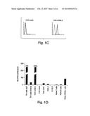 METHODS RELATED TO TIM 3, A TH1-SPECIFIC CELL SURFACE MOLECULE, FOR     ACTIVATING ANTIGEN PRESENTING CELLS diagram and image