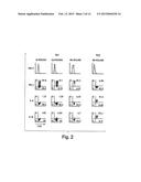 METHODS RELATED TO TIM 3, A TH1-SPECIFIC CELL SURFACE MOLECULE, FOR     ACTIVATING ANTIGEN PRESENTING CELLS diagram and image